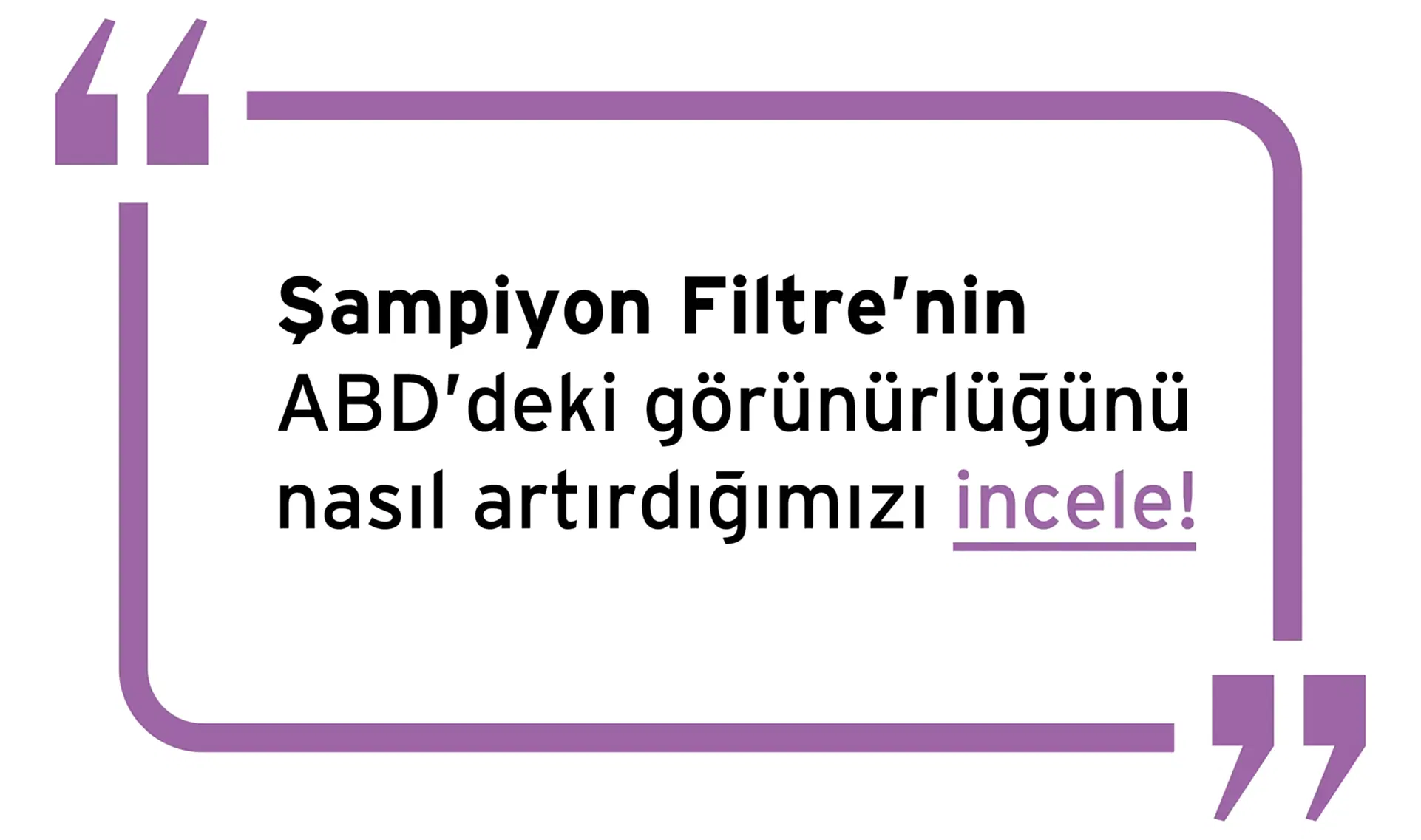Şampiyon Filtre Arama Motoru Optimizasyonu Hizmeti
