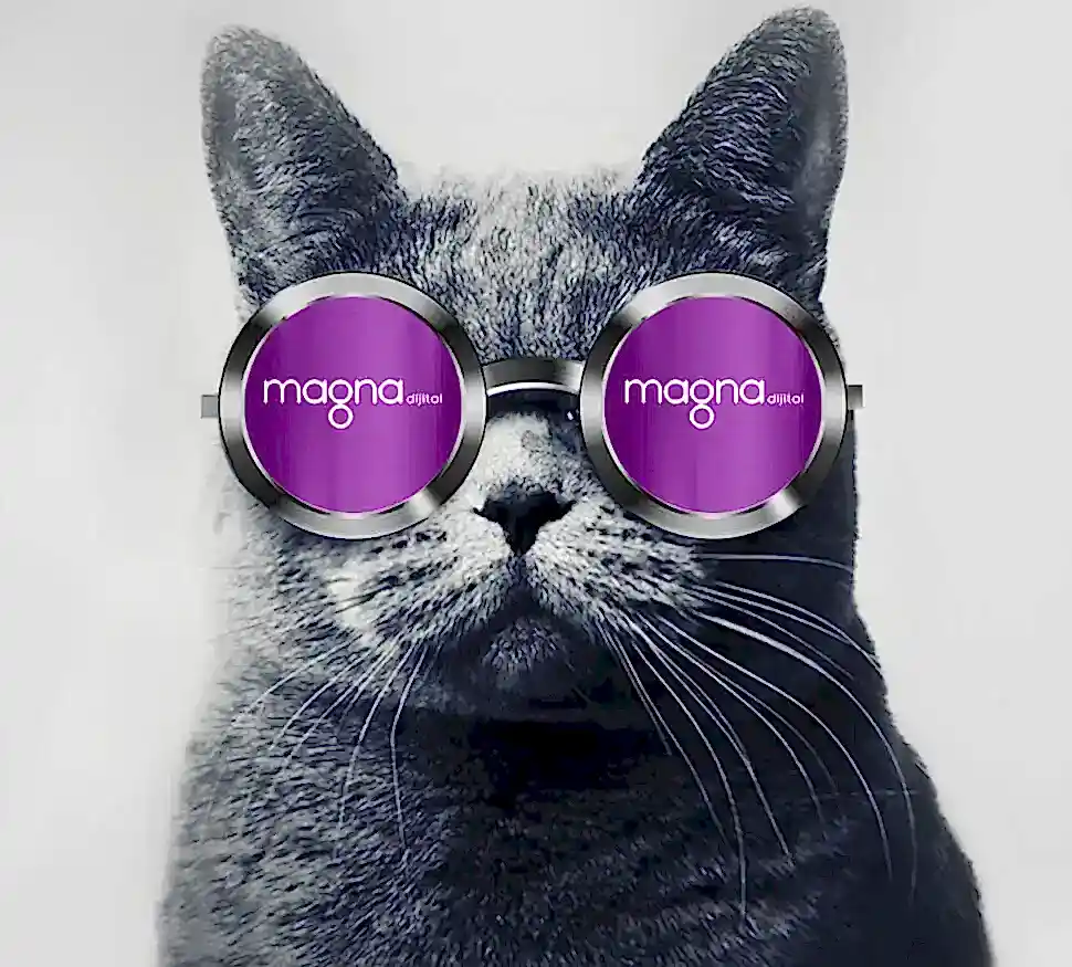 en iyi dijital pazarlama ajansı