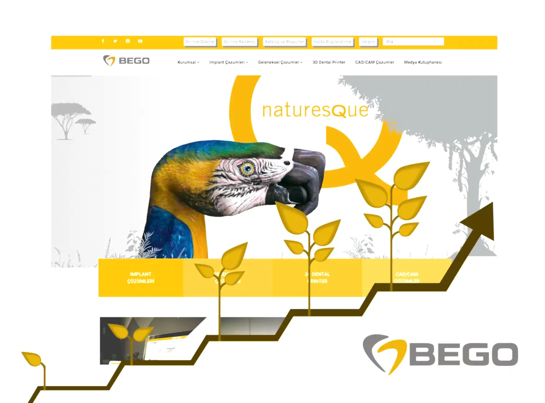 Bego Implant – Arama Motoru Optimizasyonu