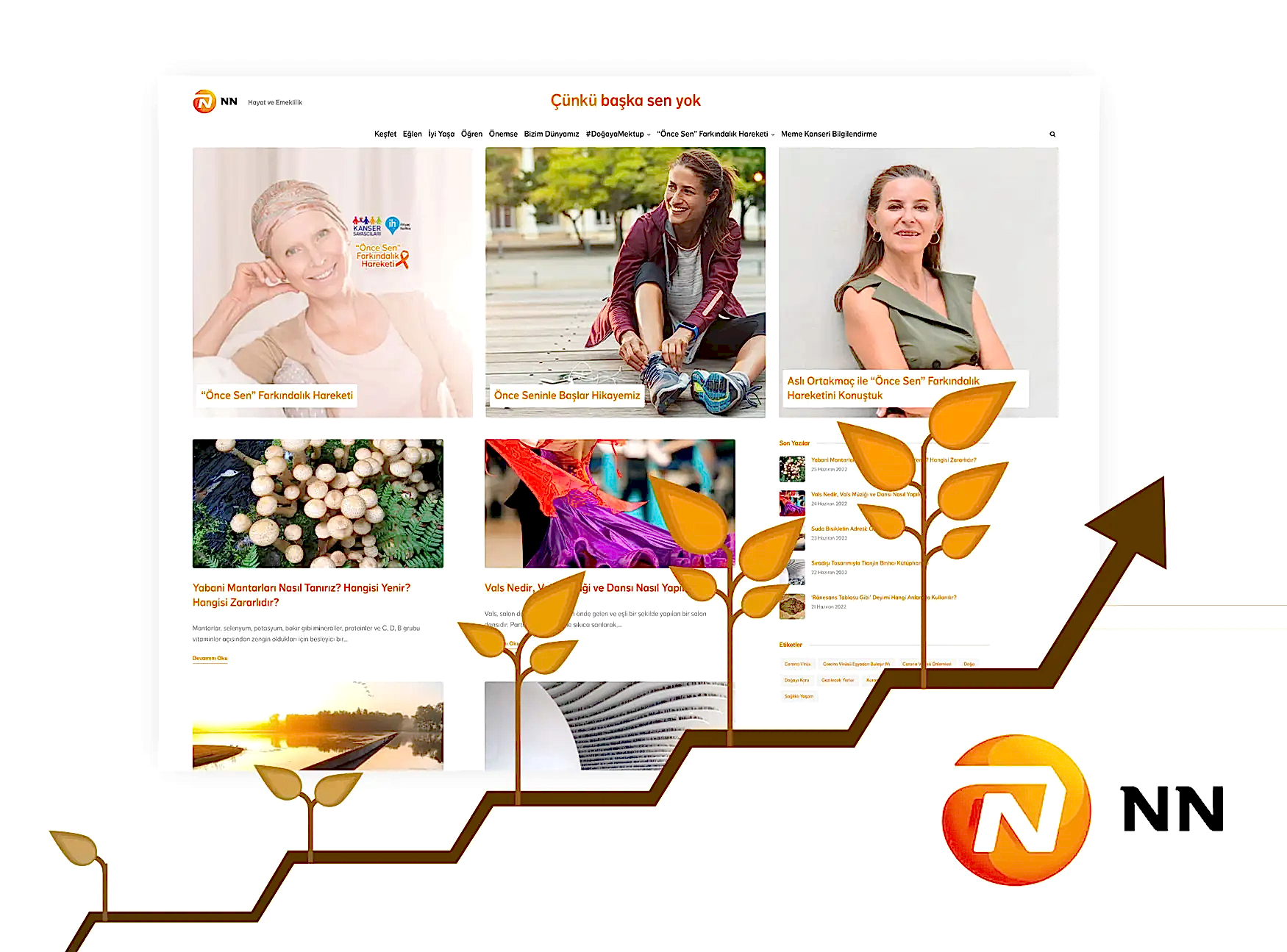 NN Hayat ve Emeklilik - Bütünleşik Dijital Pazarlama Hizmeti